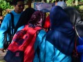 Tn DSC 1881